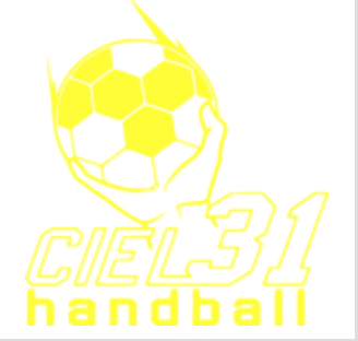 Logo Ciel 31 Handball client de Dsport